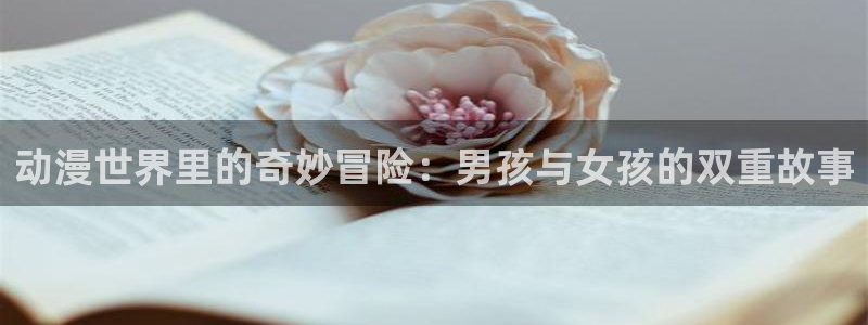 秘汤动漫在线观看里番:动漫世界里的奇妙冒险:男孩与女孩的双重故事配图