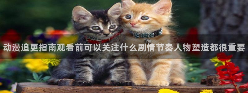 里番番动漫在线观看:动漫追更指南观看前可以关注什么剧情节奏人物塑造都很重要配图