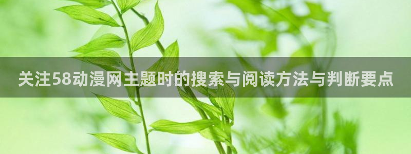 里番午夜动漫在线观看:关注58动漫网主题时的搜索与阅读方法与判断要点配图