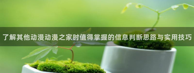 里番邪恶动漫在线观看:了解其他动漫动漫之家时值得掌握的信息判断思路与实用技巧配图
