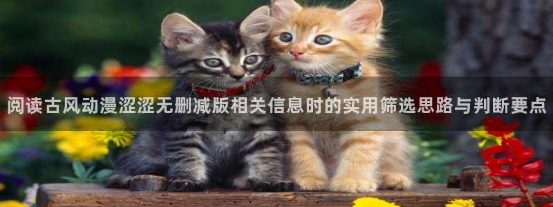 番里动漫在线观看:阅读古风动漫涩涩无删减版相关信息时的实用筛选思路与判断要点配图