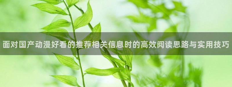 里番 动漫在线观看:面对国产动漫好看的推荐相关信息时的高效阅读思路与实用技巧配图