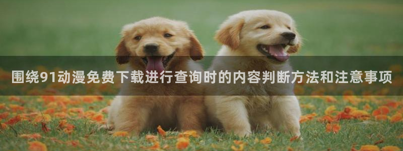 里番复仇动漫在线观看:围绕91动漫免费下载进行查询时的内容判断方法和注意事项配图
